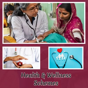 Health & Wellness Schemes